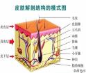 洗臉是門藝術(shù) 雖不值一提 做得好卻有養(yǎng)生作用！